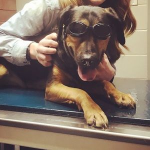 Meet your Posher, Kate